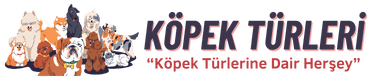 Köpek Türleri