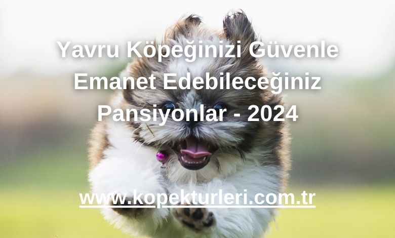 Yavru Köpeğinizi Güvenle Emanet Edebileceğiniz Pansiyonlar - 2024