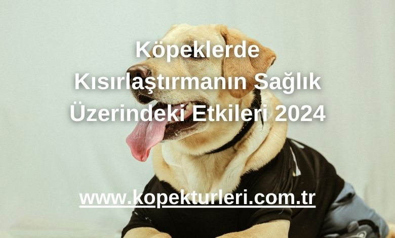 Köpeklerde Kısırlaştırmanın Sağlık Üzerindeki Etkileri 2024