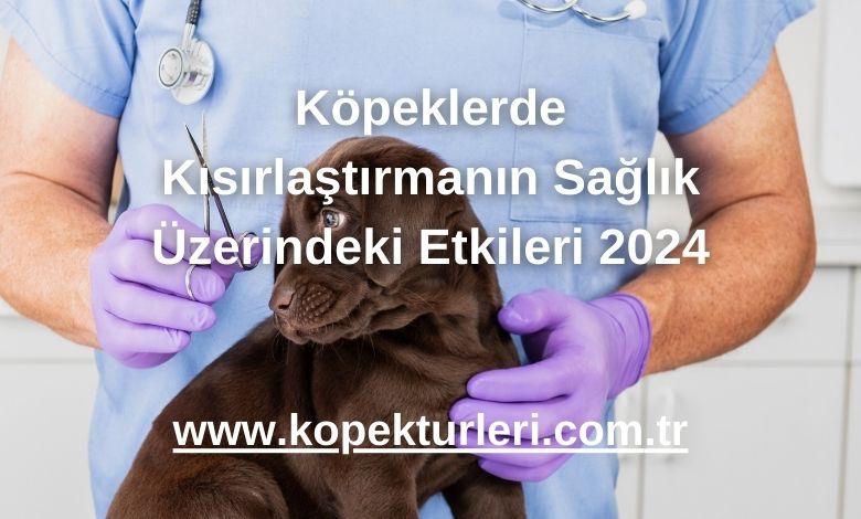 Köpeklerde Kısırlaştırmanın Sağlık Üzerindeki Etkileri 2024
