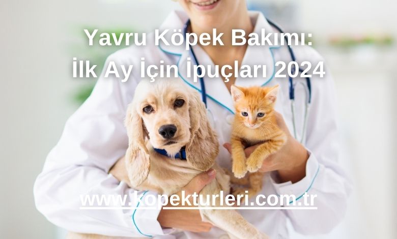 Yavru Köpek Bakımı: İlk Ay İçin İpuçları 2024
