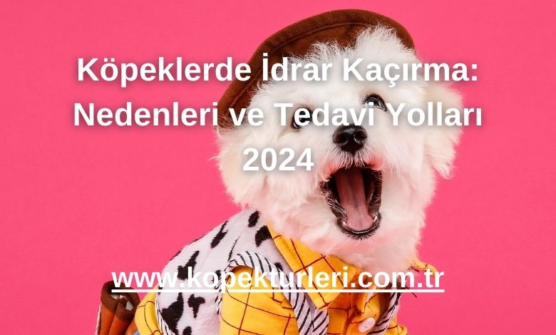 Köpeklerde İdrar Kaçırma: Nedenleri ve Tedavi Yolları 2024