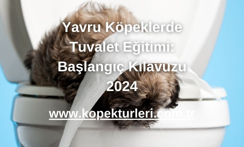 Yavru Köpeklerde Tuvalet Eğitimi: Başlangıç Kılavuzu 2024