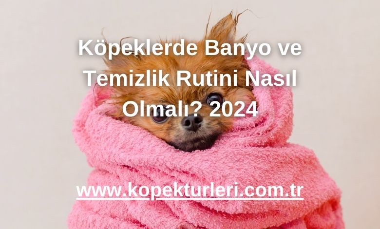 Köpeklerde Banyo ve Temizlik Rutini Nasıl Olmalı? 2024