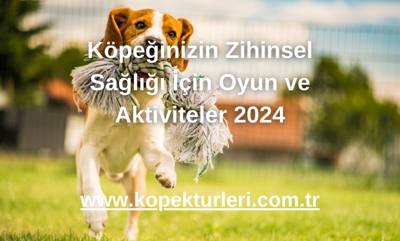 Köpeğinizin Zihinsel Sağlığı İçin Oyun ve Aktiviteler 2024