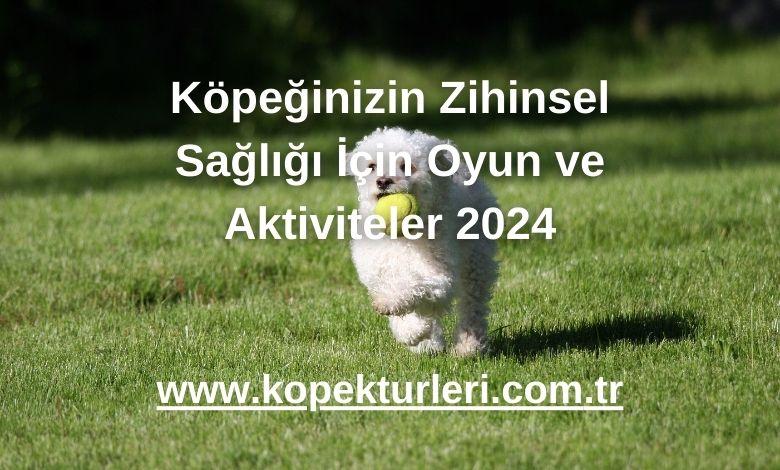 Köpeğinizin Zihinsel Sağlığı İçin Oyun ve Aktiviteler 2024