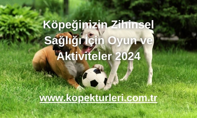 Köpeğinizin Zihinsel Sağlığı İçin Oyun ve Aktiviteler 2024
