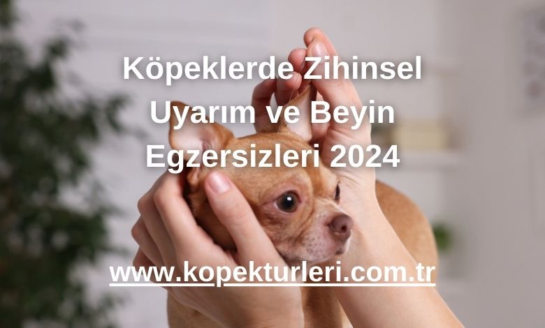 Köpeklerde Zihinsel Uyarım ve Beyin Egzersizleri 2024