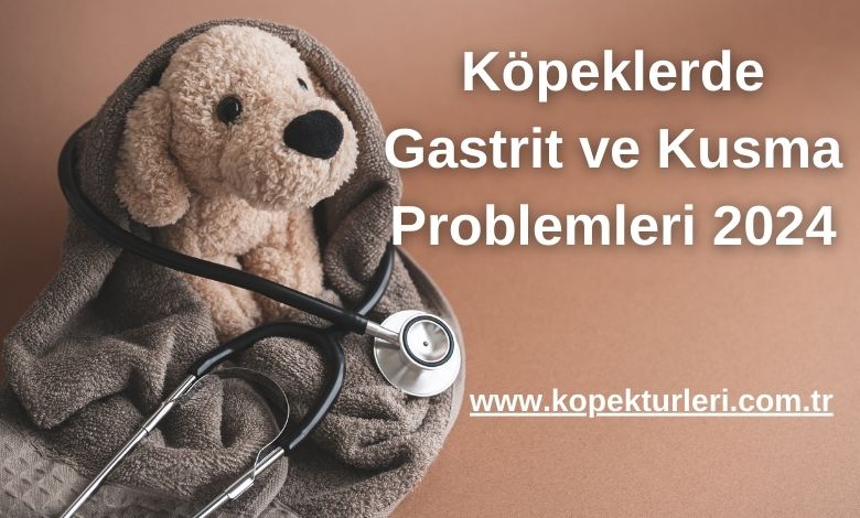Köpeklerde Gastrit ve Kusma Problemleri 2024