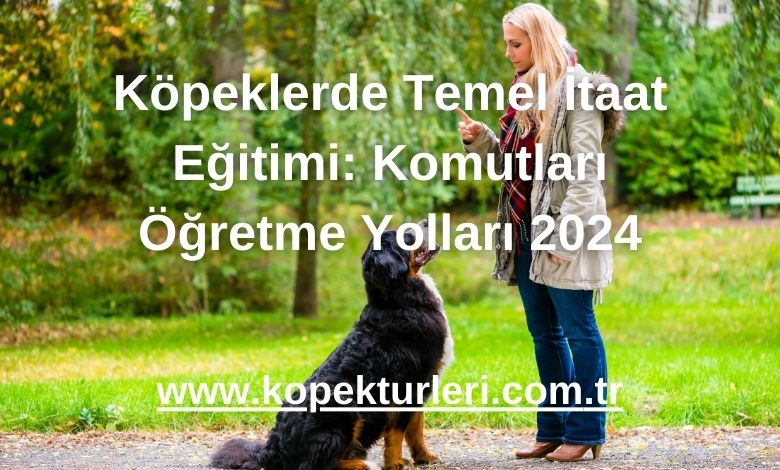 Köpeklerde Temel İtaat Eğitimi: Komutları Öğretme Yolları 2024