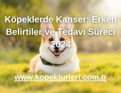Köpeklerde Kanser: Erken Belirtiler ve Tedavi Süreci 2024