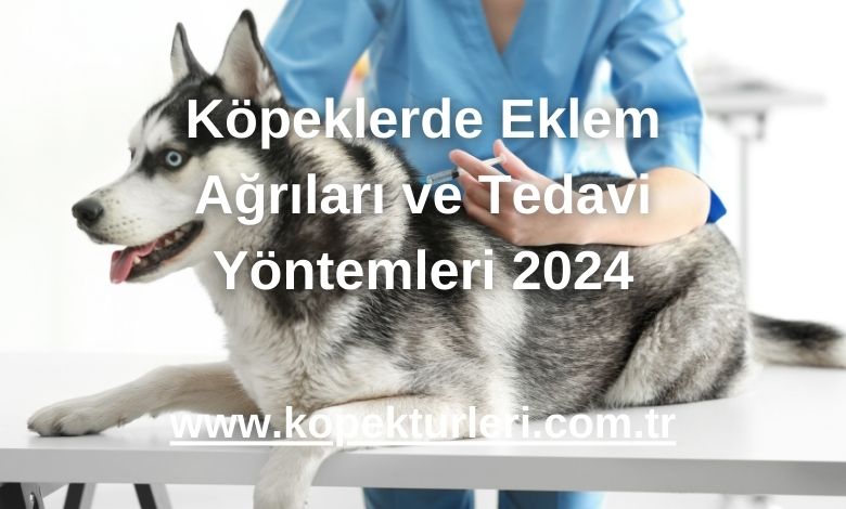 Köpeklerde Eklem Ağrıları ve Tedavi Yöntemleri 2024