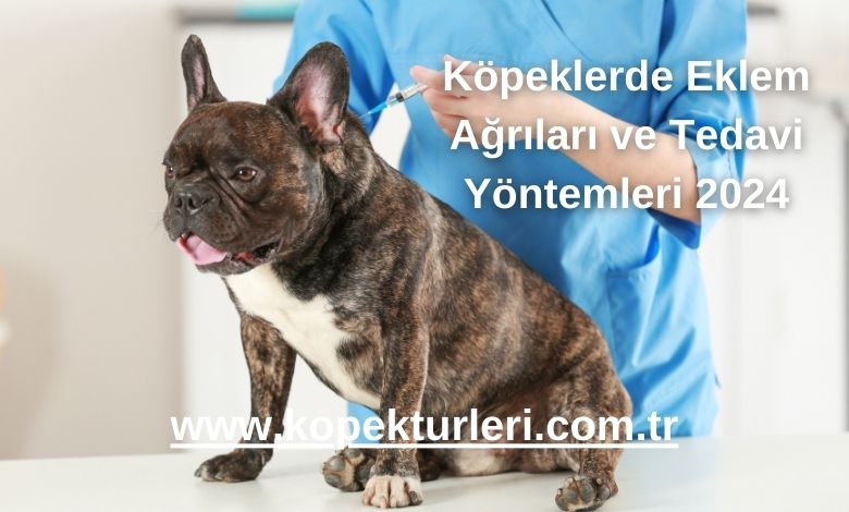 Köpeklerde Eklem Ağrıları ve Tedavi Yöntemleri 2024