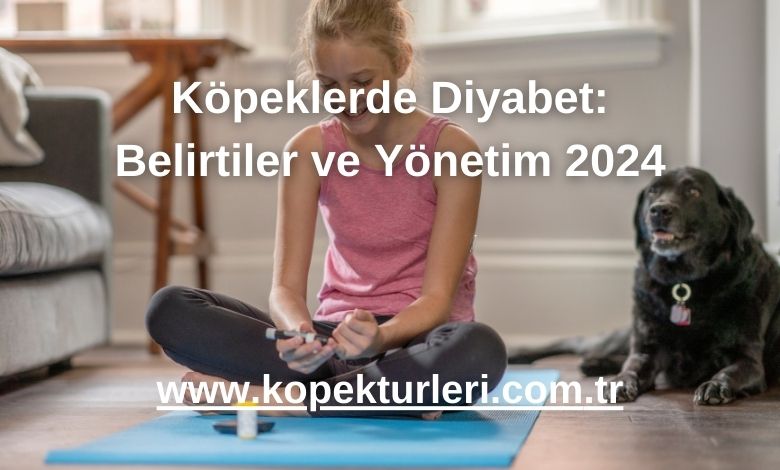 Köpeklerde Diyabet: Belirtiler ve Yönetim 2024