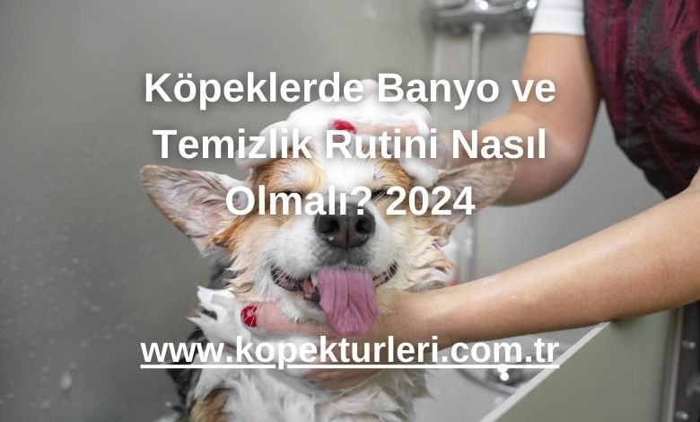 Köpeklerde Banyo ve Temizlik Rutini Nasıl Olmalı? 2024