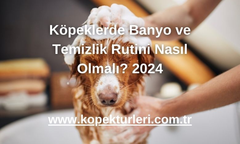 Köpeklerde Banyo ve Temizlik Rutini Nasıl Olmalı? 2024