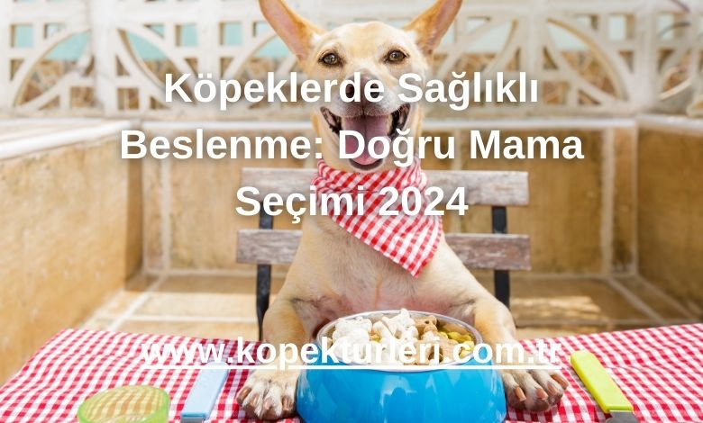 Köpeklerde Sağlıklı Beslenme: Doğru Mama Seçimi 2024