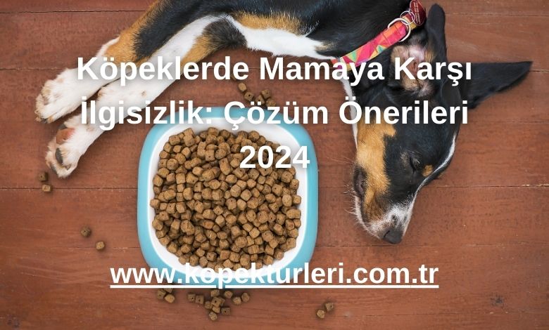 Köpeklerde Mamaya Karşı İlgisizlik: Çözüm Önerileri 2024