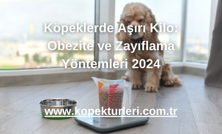 Köpeklerde Aşırı Kilo: Obezite ve Zayıflama Yöntemleri 2024