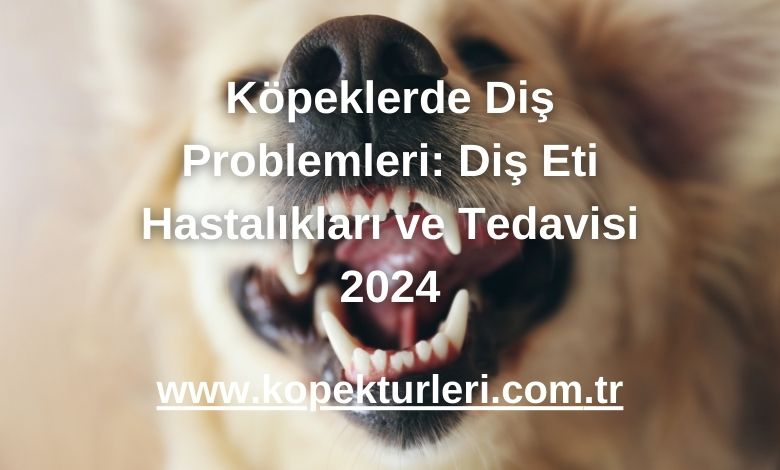 Köpeklerde Diş Problemleri: Diş Eti Hastalıkları ve Tedavisi 2024