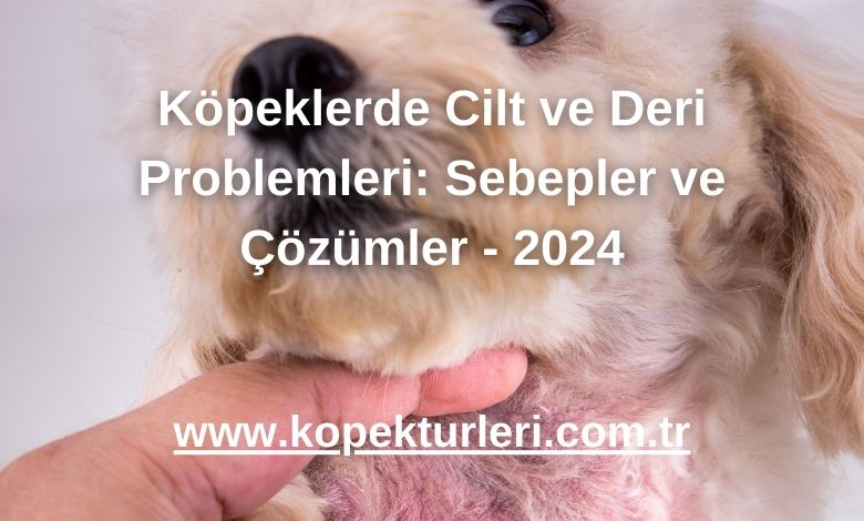 Köpeklerde Cilt ve Deri Problemleri: Sebepler ve Çözümler - 2024