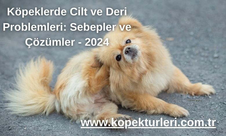 Köpeklerde Cilt ve Deri Problemleri: Sebepler ve Çözümler - 2024