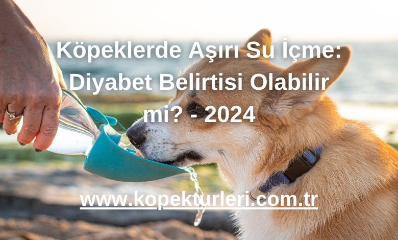 Köpeklerde Aşırı Su İçme: Diyabet Belirtisi Olabilir mi? - 2024