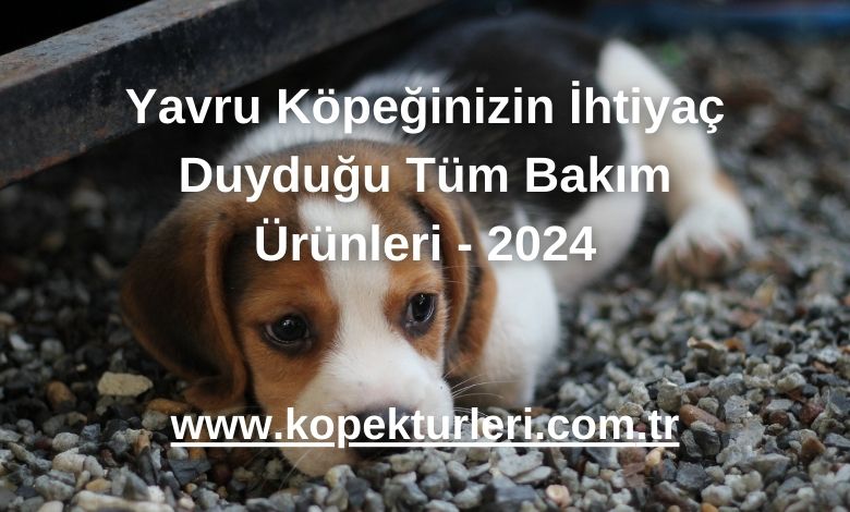 Yavru Köpeğinizin İhtiyaç Duyduğu Tüm Bakım Ürünleri - 2024