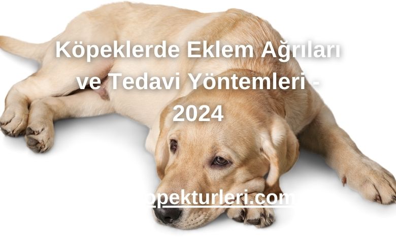 Köpeklerde Eklem Ağrıları ve Tedavi Yöntemleri - 2024