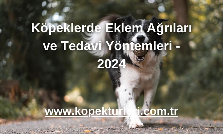 Köpeklerde Eklem Ağrıları ve Tedavi Yöntemleri - 2024