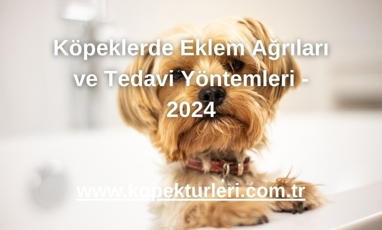 Köpeklerde Eklem Ağrıları ve Tedavi Yöntemleri - 2024