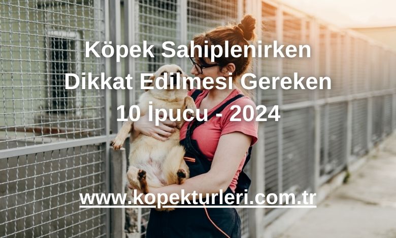 Köpek Sahiplenirken Dikkat Edilmesi Gereken 10 İpucu - 2024