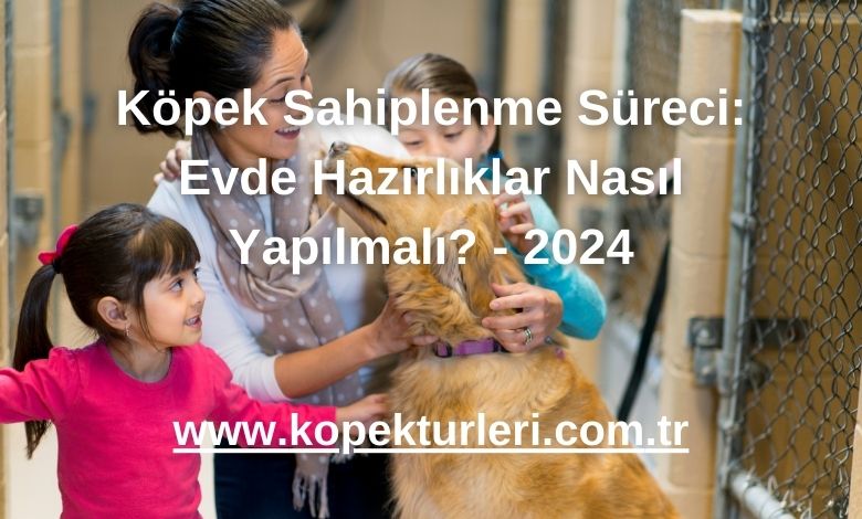 Köpek Sahiplenme Süreci: Evde Hazırlıklar Nasıl Yapılmalı? - 2024