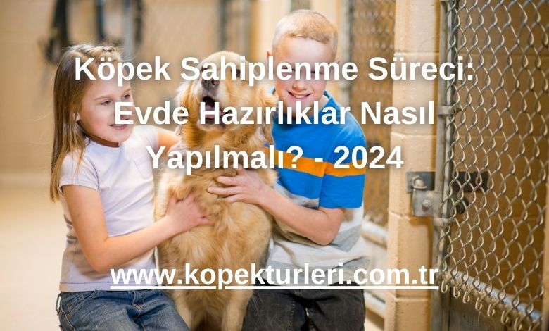 Köpek Sahiplenme Süreci: Evde Hazırlıklar Nasıl Yapılmalı? - 2024