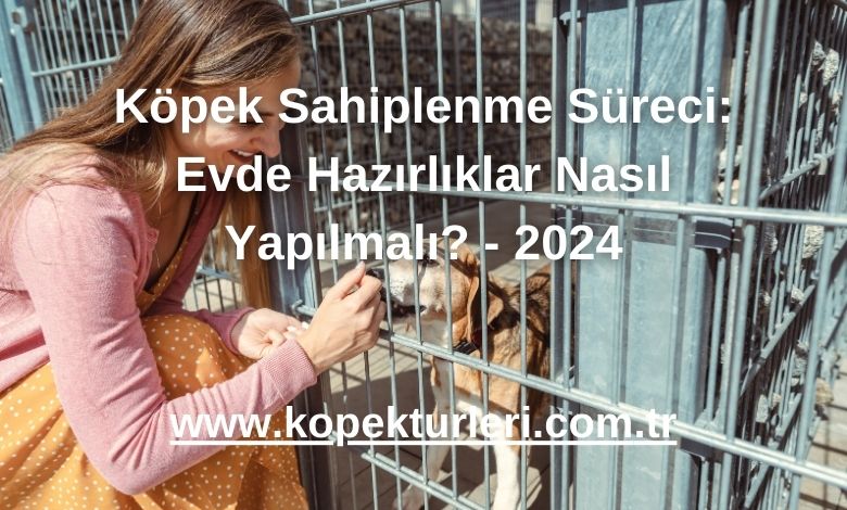 Köpek Sahiplenme Süreci: Evde Hazırlıklar Nasıl Yapılmalı? - 2024