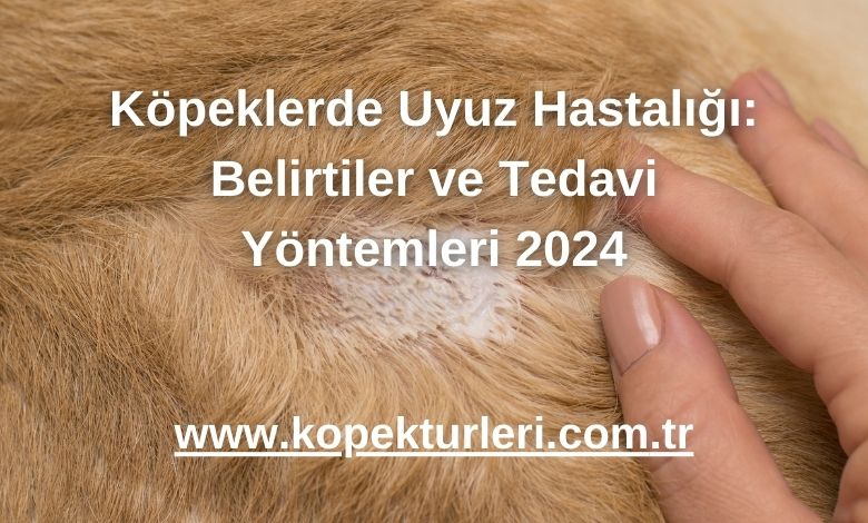 Köpeklerde Uyuz Hastalığı: Belirtiler ve Tedavi Yöntemleri 2024