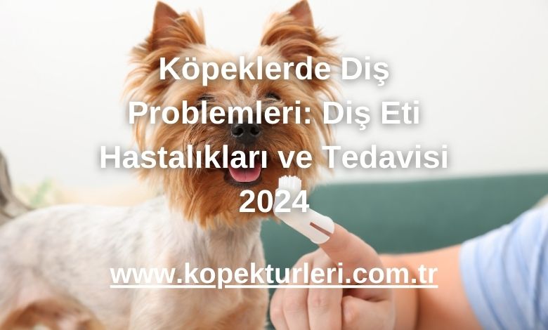 Köpeklerde Diş Problemleri: Diş Eti Hastalıkları ve Tedavisi 2024