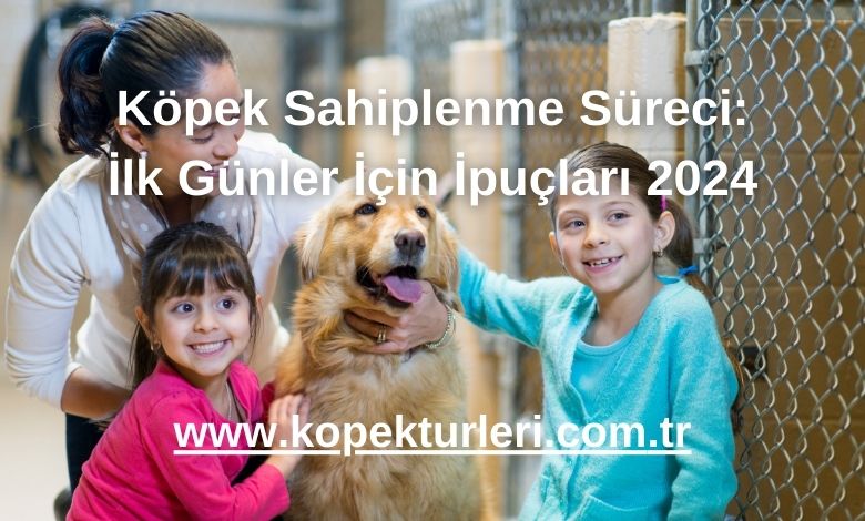 Köpek Sahiplenme Süreci: İlk Günler İçin İpuçları 2024