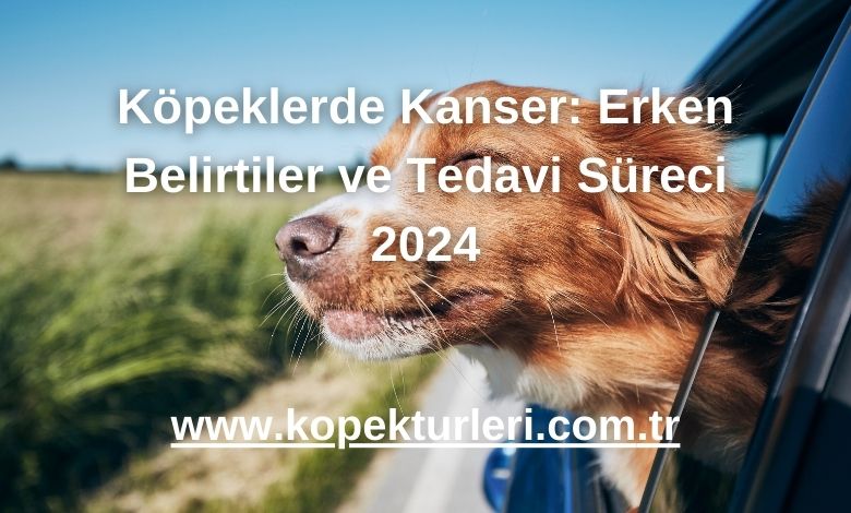 Köpeklerde Kanser: Erken Belirtiler ve Tedavi Süreci 2024