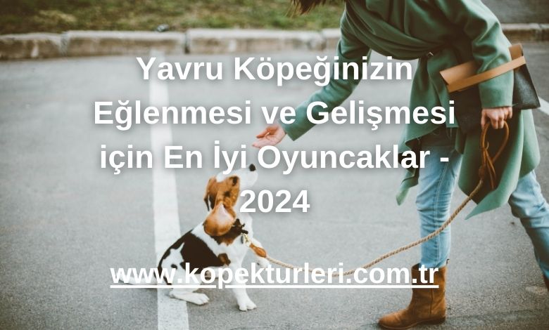 Yavru Köpeğinizin Eğlenmesi ve Gelişmesi için En İyi Oyuncaklar - 2024