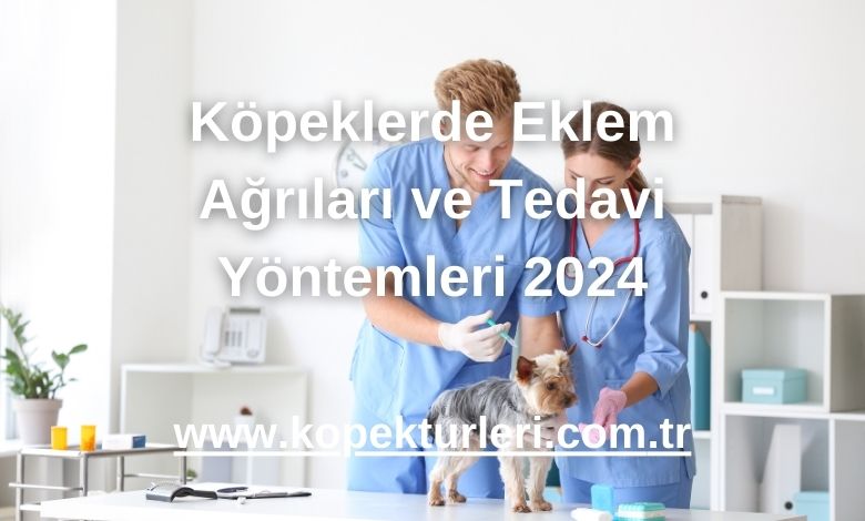 Köpeklerde Eklem Ağrıları ve Tedavi Yöntemleri 2024