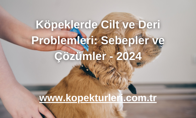 Köpeklerde Cilt ve Deri Problemleri: Sebepler ve Çözümler - 2024
