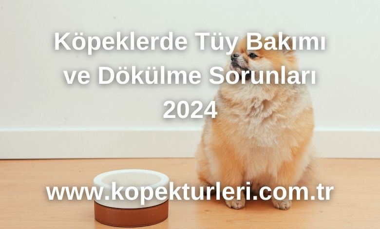 Köpeklerde Tüy Bakımı ve Dökülme Sorunları 2024